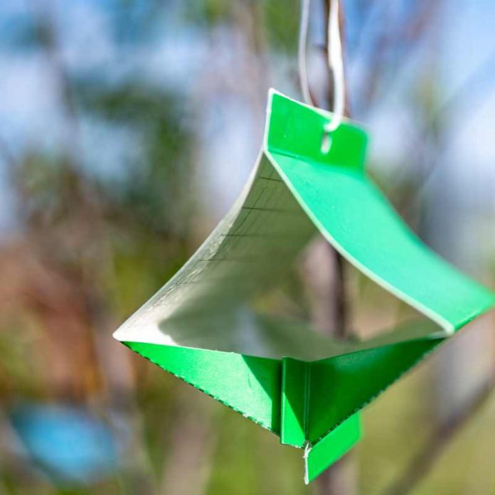 INIA La Platina invita a seminario sobre Tecnología Complementaria: biocontroladores en postcosecha