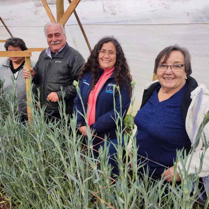 floricultores de Longotoma