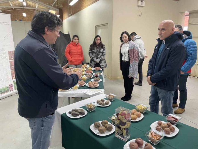 seguridad alimentaria