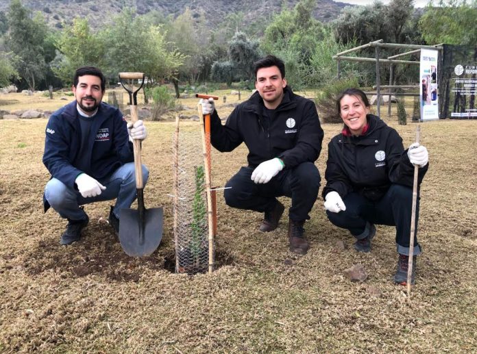 Fundación Reforestemos