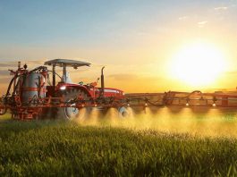 Agroindustria ¿cómo proteger los cultivos de las heladas