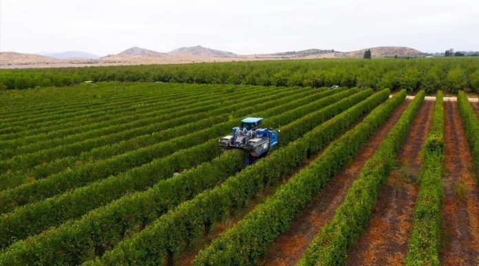 Agromillora 26 años innovando en la agricultura nacional