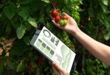 CfiAgrotech 2023: Confirman participación de reconocidos expositores internacionales en congreso agroalimentario CfiAgrotech 2023: Confirman participación de reconocidos expositores internacionales en congreso agroalimentario