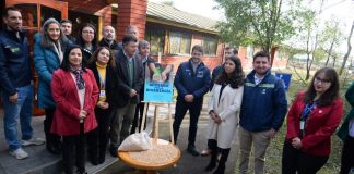 Concluye trabajo de la Mesa Nacional del Pellet y  Ministerios de Energía y Agricultura firman convenio para impulsar oferta de biocombustibles 