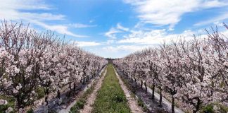 Desafíos de la producción agrícola: producir más con menos