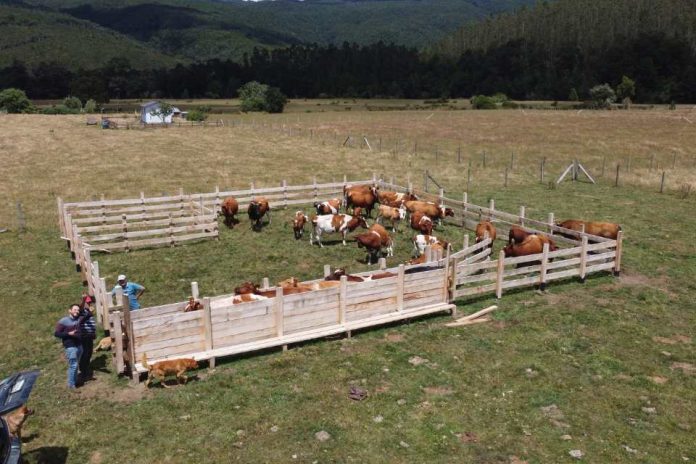 Investigaciones Ulagos contribuyen a resaltar rol de la insularidad en Guaitecas y diversidad presente en la agricultura familiar chilena