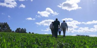 Las innovaciones que están transformando la agricultura