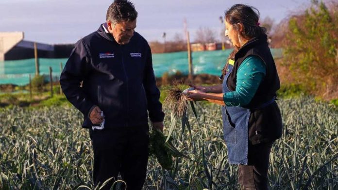 Ministro Valenzuela lanza programa “Siembra por Chile” y encabeza entrega de ayudas tras sistema frontal en Biobío