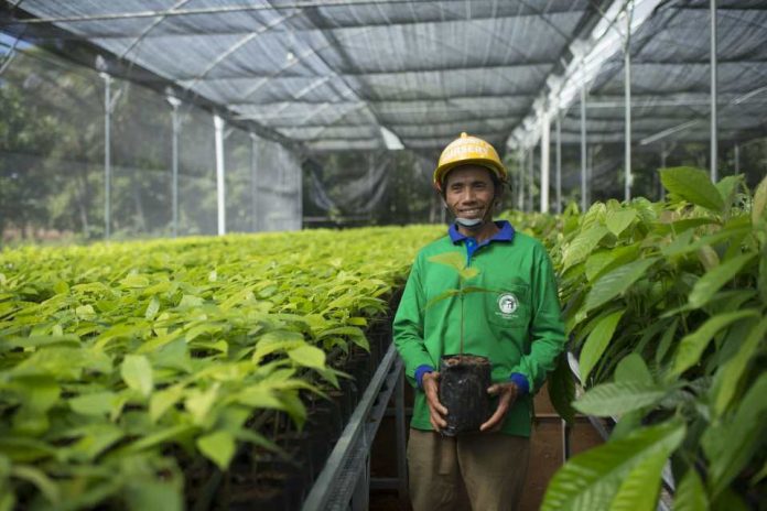 Mondelēz busca producir de manera sustentable el cacao para su chocolate