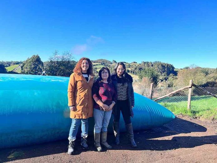 Productoras de Chiloé enfrentarán el déficit hídrico con cosechas de aguas lluvia