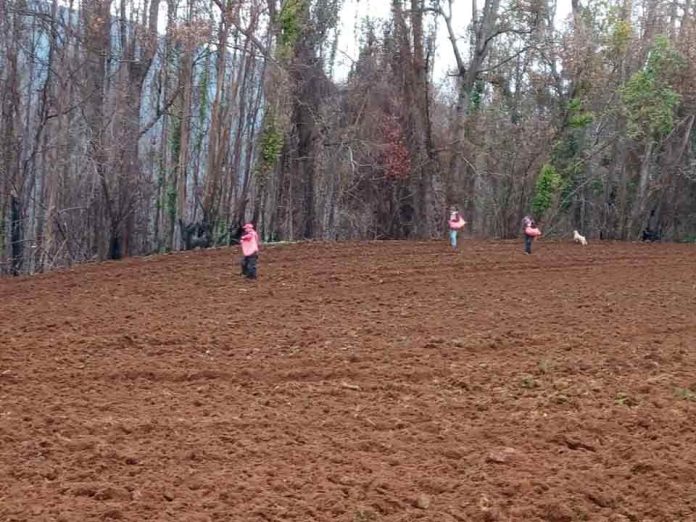 Reactivación rural: alianza busca impulsar a 300 familias de agricultores afectados por incendios rurales  