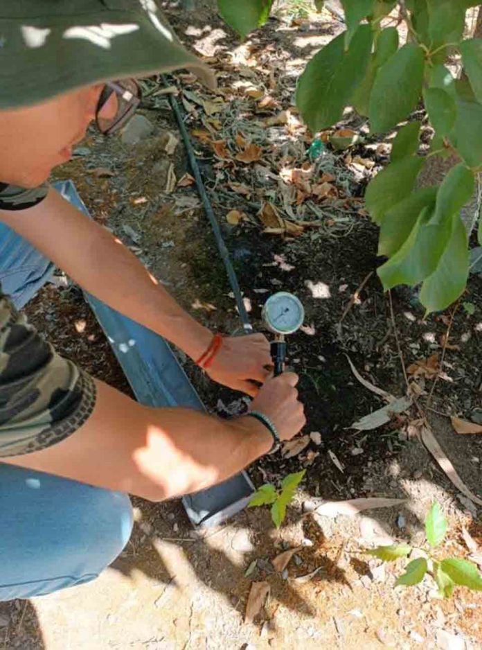 uso eficiente agua