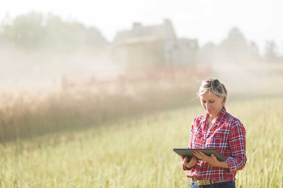 Apuestas y cultivos Las sorprendentes conexiones entre casinos y agricultura. Apostar por la innovación: Tecnología en el casino y el campo