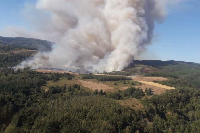 Chile avanza hacia paisajes y comunidades más resilientes a los incendios