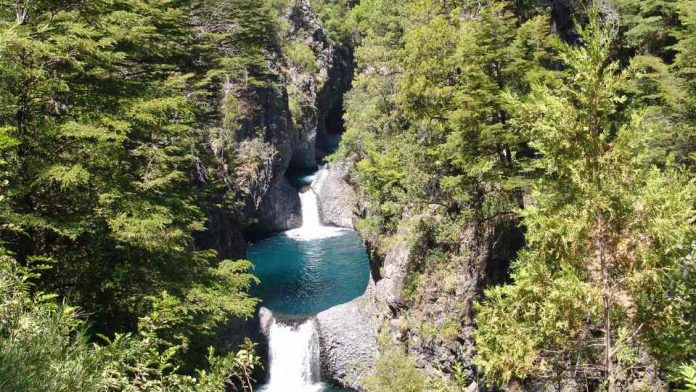 Chile celebra Día Internacional de los Parques Nacionales con avances en conservación en sus áreas protegidas