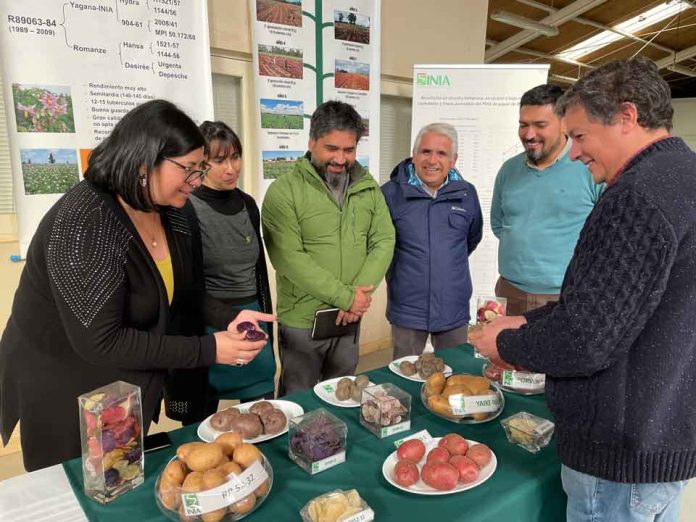 Coordinadores nacionales de INIA buscan potenciar la labor de INIA Remehue