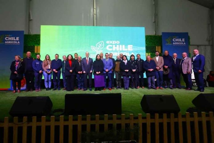 Expo Chile Agrícola tuvo más de 45 mil visitas en su sexta versión