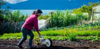 FIA abre una nueva edición del Premio Nacional Mujer AgroInnovadora 2023