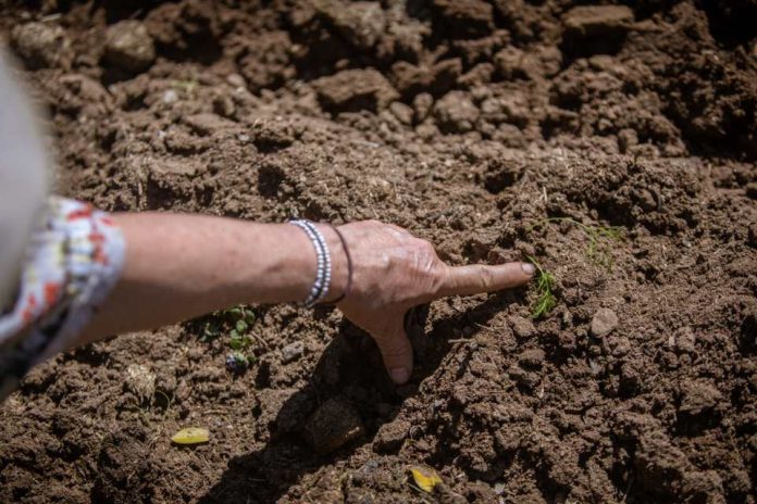 Incorporando el enfoque regenerativo en la lucha contra el cambio climático