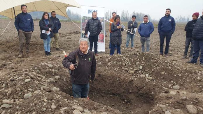 ¿Cómo recuperar un suelo agrícola post inundación Experto de INIA Rayentué dio charla en zona afectada