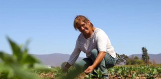 Agricultoras de Atacama y Coquimbo disponen de recursos mediante segundo concurso nacional de riego de la CNR exclusivo para mujeres