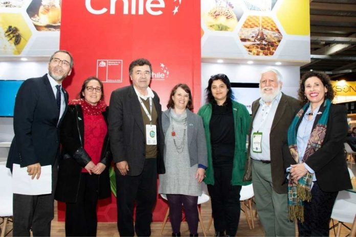 Andrea García, directora de Odepa, participó en la inauguración de Apimondia