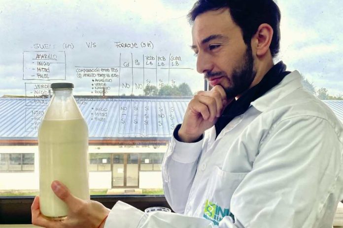 Buscan generar leche de vaca con propiedades funcionales