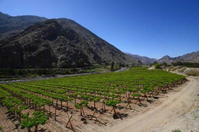 Campo del año ya tiene finalistas