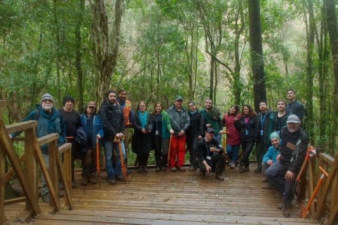 En 40% aumentaron las postulaciones y superficies a manejar en bosque nativo