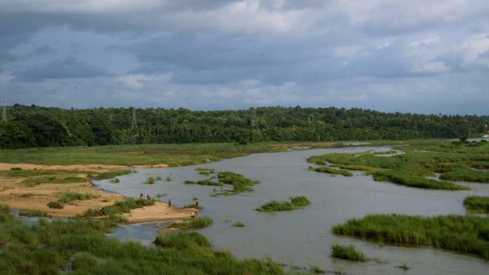 Expertos entregan recomendaciones sobre recuperación agrícola tras impacto de inundaciones en la zona centro-sur