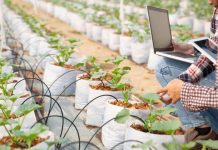 FIA abre Convocatoria Nacional de Proyectos de Innovación en Sistemas Alimentarios Sostenibles