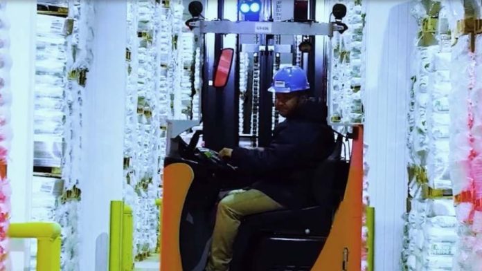 IceStar continúa creciendo en Chile: construirá planta en Coronel cuya inversión implica cerca de US$ 30 millones