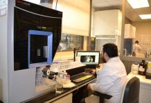 La Importancia de los Análisis Foliares para el Éxito en el Cultivo de Cerezos La Importancia de los Análisis Foliares para el Éxito en el Cultivo de Cerezos