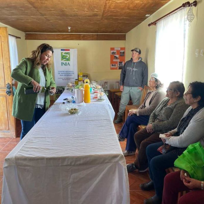 Olivicultores de Carrizalillo aprenden a distinguir calidad de aceites de oliva mediante taller de cata