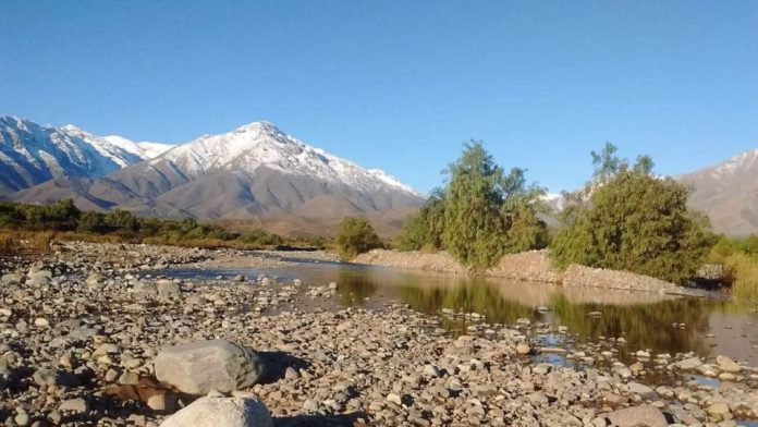 ¿Es posible hacer de la Región de Valparaíso un líder global en sustentabilidad frutícola y agrícola?