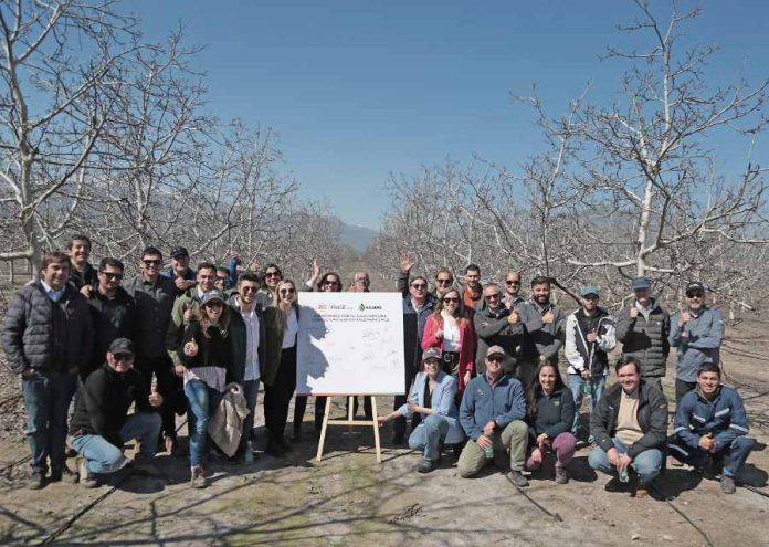 30 agricultores de la Cuenca del Maipo implementarán inteligencia artificial para el uso eficiente del agua en sus cultivos