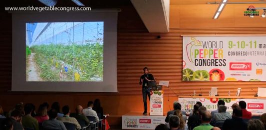 Agricultura Regenerativa, impacto del virus del rugoso, World Pepper Congress