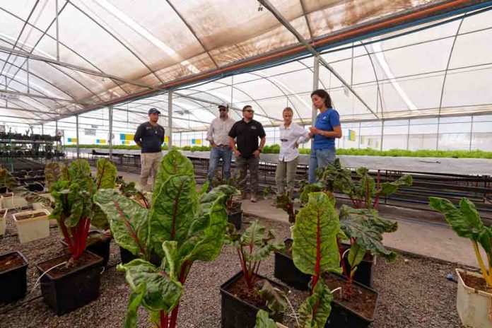 Agricultura en el Desierto