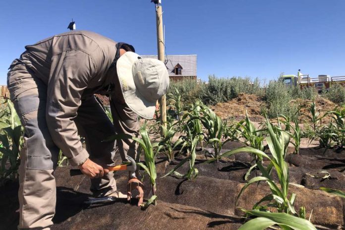 Dos proyectos chilenos se adjudican fondos de programa internacional de innovación social