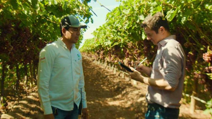  Estudio revela desafíos críticos en la cadena agrícola de Latinoamérica: volatilidad en precios y clima