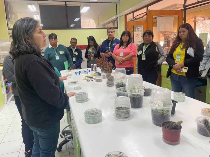 Guardadores de semillas de comunidades Atacameñas conocen técnicas de resguardo y propagación de especies de INIA