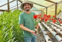 Joven emprendedor de Yumbel se posiciona en el mercado con sus flores y hortalizas