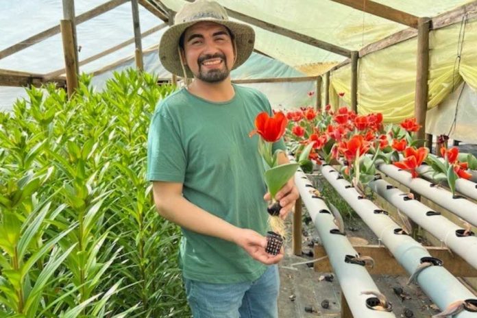 Joven emprendedor de Yumbel se posiciona en el mercado con sus flores y hortalizas