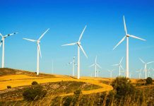 MINSAIT ayuda a reducir la siniestralidad de las aves en los parques eólicos con inteligencia artificial MINSAIT ayuda a reducir la siniestralidad de las aves en los parques eólicos con inteligencia artificial