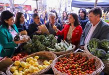 Ministerio de Agricultura  llama a optimizar desechos vegetales en “Día Internacional de Concienciación sobre la Pérdida y el Desperdicio de Alimentos” 