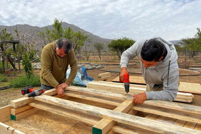 Nuevos beneficiarios de proyecto de hidroponía de INIA construyen mesones para cultivo