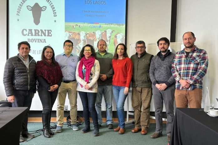 Programa Territorial Integrado de la Carne Bovina de Los Lagos busca continuar reforzando su marca y el posicionamiento del sector