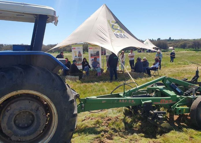 Tradicional Día de Campo de INIA Hidango congregó a más de 100 pequeños agricultores