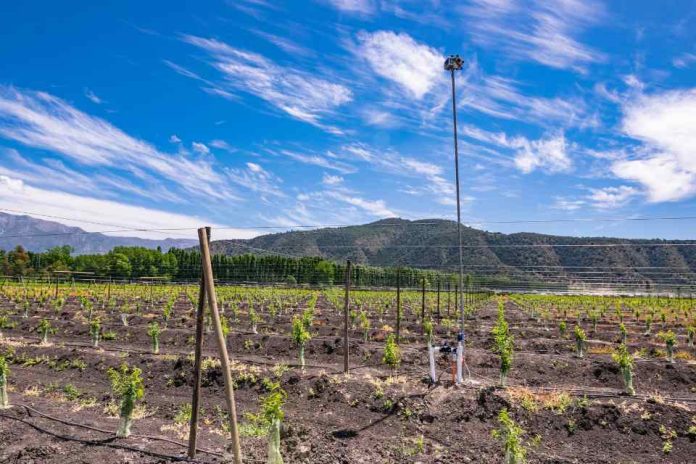 Wiseconn hace un llamado al uso consciente y sustentable de los recursos hídricos