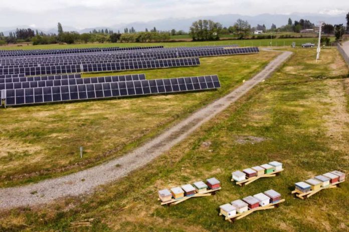 colmenas fotovoltaicas en im2; nueva tendencia de economía circular